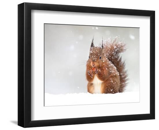 Premium Photographic Print, , large