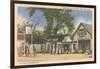 Gift Shop, Alton Bay, New Hampshire-null-Framed Art Print