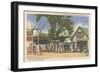 Gift Shop, Alton Bay, New Hampshire-null-Framed Art Print