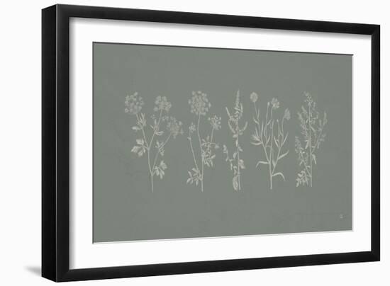 Gifts from the Meadow I Sage-Sarah Adams-Framed Art Print