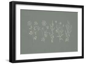 Gifts from the Meadow I Sage-Sarah Adams-Framed Art Print