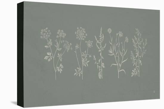 Gifts from the Meadow I Sage-Sarah Adams-Stretched Canvas