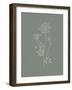 Gifts from the Meadow III Sage-Sarah Adams-Framed Art Print