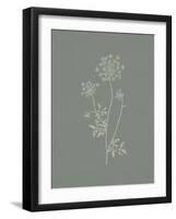 Gifts from the Meadow III Sage-Sarah Adams-Framed Art Print