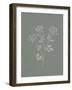 Gifts from the Meadow IV Sage-Sarah Adams-Framed Art Print