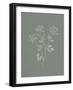 Gifts from the Meadow IV Sage-Sarah Adams-Framed Art Print