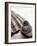 Gifts From the Sea No Border-Sue Schlabach-Framed Photographic Print