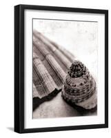 Gifts From the Sea No Border-Sue Schlabach-Framed Photographic Print