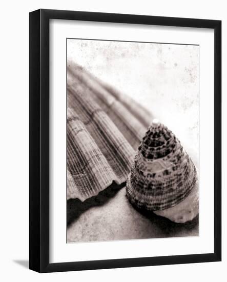 Gifts From the Sea No Border-Sue Schlabach-Framed Photographic Print