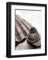 Gifts From the Sea No Border-Sue Schlabach-Framed Photographic Print