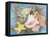 Gifts from the Sea-Joanne Porter-Framed Stretched Canvas