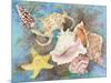 Gifts from the Sea-Joanne Porter-Mounted Giclee Print