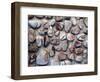 Gifts of the Earth I-Elena Ray-Framed Photographic Print