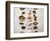 Gifts of the Earth V-Elena Ray-Framed Photographic Print