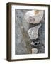 Gifts of the Shore IX-Elena Ray-Framed Photographic Print