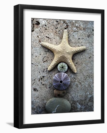 Gifts of the Shore VII-Elena Ray-Framed Photographic Print