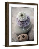 Gifts of the Shore VIII-Elena Ray-Framed Photographic Print