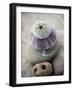 Gifts of the Shore VIII-Elena Ray-Framed Photographic Print