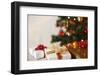 Gifts under a Christmas Tree-Klaus Tiedge-Framed Photographic Print