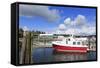 Gig Harbor Marina, Tacoma, Washington State, United States of America, North America-Richard Cummins-Framed Stretched Canvas