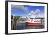 Gig Harbor Marina, Tacoma, Washington State, United States of America, North America-Richard Cummins-Framed Photographic Print