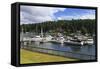 Gig Harbor Marina, Tacoma, Washington State, United States of America, North America-Richard Cummins-Framed Stretched Canvas