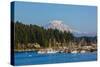 Gig Harbor, Washington State. Mount Rainier over Gig Harbor marina and boats-Jolly Sienda-Stretched Canvas