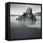 Gigafire-David Baker-Framed Stretched Canvas