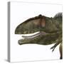 Giganotosaurus Dinosaur Head-Stocktrek Images-Stretched Canvas