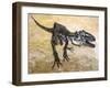 Giganotosaurus Dinosaur Skeleton-Stocktrek Images-Framed Art Print