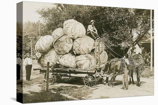 Gigantic Cabbages on Wagon-null-Stretched Canvas