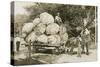 Gigantic Cabbages on Wagon-null-Stretched Canvas