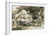 Gigantic Cabbages on Wagon-null-Framed Premium Giclee Print