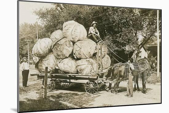 Gigantic Cabbages on Wagon-null-Mounted Premium Giclee Print