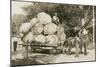 Gigantic Cabbages on Wagon-null-Mounted Art Print