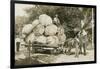 Gigantic Cabbages on Wagon-null-Framed Art Print