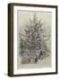 Gigantic Christmas-Tree, at the Crystal Palace, Sydenham-null-Framed Giclee Print