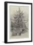 Gigantic Christmas-Tree, at the Crystal Palace, Sydenham-null-Framed Giclee Print