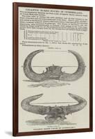 Gigantic Horns Found in Cumberland-null-Framed Giclee Print