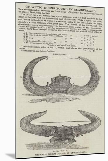 Gigantic Horns Found in Cumberland-null-Mounted Giclee Print