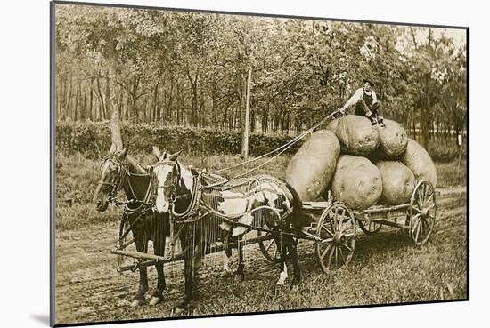 Gigantic Potatoes on Wagon-null-Mounted Art Print