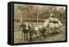 Gigantic Potatoes on Wagon-null-Framed Stretched Canvas