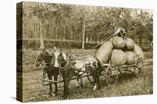 Gigantic Potatoes on Wagon-null-Stretched Canvas