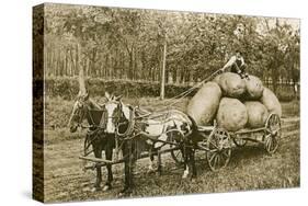 Gigantic Potatoes on Wagon-null-Stretched Canvas