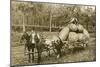 Gigantic Potatoes on Wagon-null-Mounted Premium Giclee Print