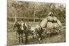 Gigantic Potatoes on Wagon-null-Mounted Art Print