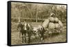 Gigantic Potatoes on Wagon-null-Framed Stretched Canvas