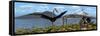 Gigantic Quetzalcoatlus Pterosaurs-null-Framed Stretched Canvas