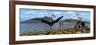 Gigantic Quetzalcoatlus Pterosaurs-null-Framed Art Print