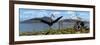 Gigantic Quetzalcoatlus Pterosaurs-null-Framed Premium Giclee Print